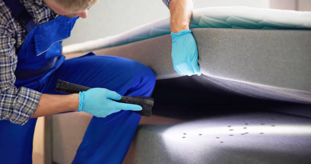 Best Cockroach Control Services  in Niles, MI